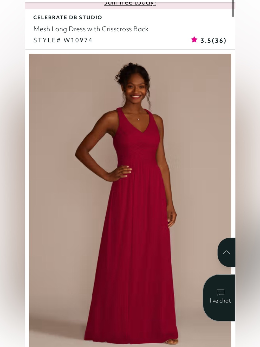 David’s Bridal Bridesmaid Dress